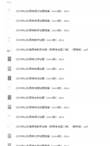 高中总复习之历年高考试卷合集：新高考山东卷免费下载，带打印服务！-超级会员网