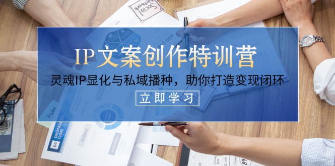 IP文案创作特训营，灵魂IP显化与私域播种，助你打造变现闭环（14节课）-超级会员网