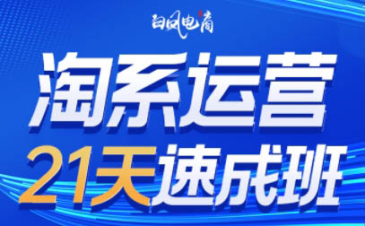 白凤电商·淘系运营21天速成班(更新7月)-超级会员网