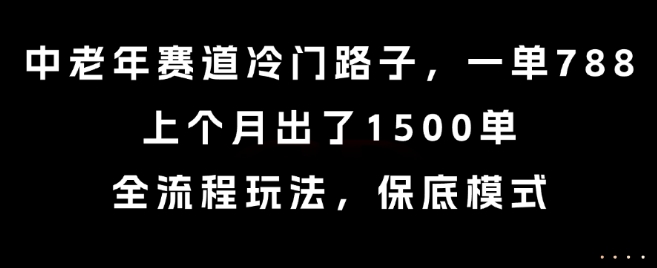 中老年赛道冷门路子，一单788，上个月出了1500单，全流程玩法，保底模式【揭秘】-超级会员网