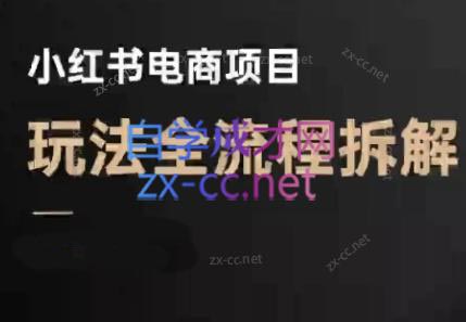 菲菲老师·小红书电商玩法(更新7月)-超级会员网