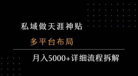 私域做天涯神贴 多平台布局 月入5k+详细流程拆解-超级会员网