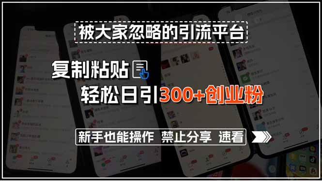 被大家忽略的引流平台，复制粘贴轻松日引300+创业粉，新手也能操作，禁…-超级会员网