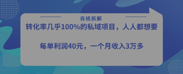 转化率最高的私域项目，每单利润40-50米，月入过1w-超级会员网