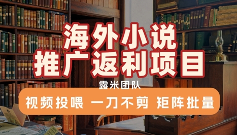 海外小说推广返利项目，视频投喂， 一刀不剪，矩阵批量-超级会员网