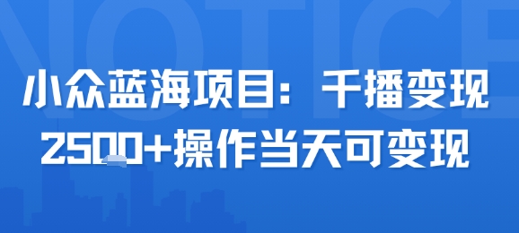 小众蓝海项目，千播变现2.5k+操作当天可变现-超级会员网