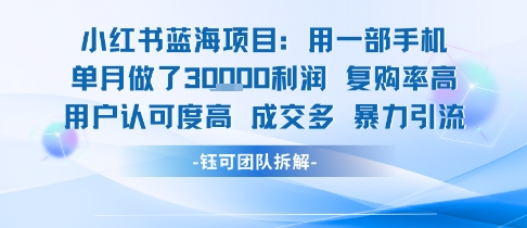 小红书蓝海项目，一部手机单月做了3W利润，小白也能月入过1W用户认可度高成交多-超级会员网