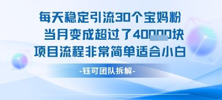 每天稳定引流30个人 当月变成超过了4个W项目流程非常简单适合小白-超级会员网