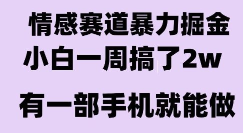 情感暴力掘金项目，新人操作一周挣了2W，长期稳定小白可做【揭秘】-超级会员网