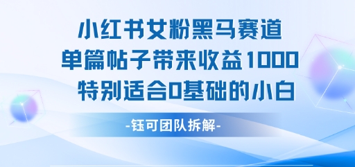 小红书女粉黑马赛道单篇帖子带来收益1k+，特别适合0基础的小白-超级会员网