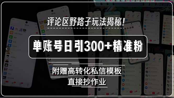 评论区野路子玩法揭秘！单账号日引300+精准粉，附赠高转化私信模板，直…-超级会员网