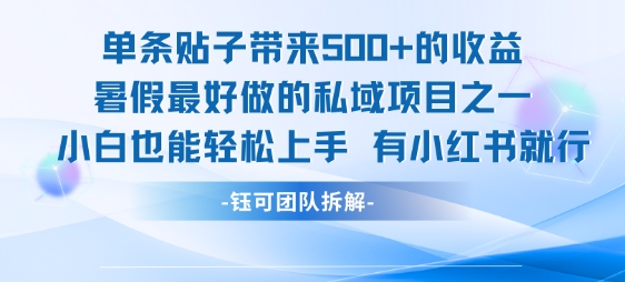 单条贴子带来5张的收益，暑假最好做的私域项目之一，小白也能轻松上手，有小红书就行-超级会员网