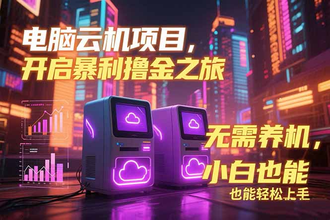 电脑云机项目 暴力撸金玩法，不需要养机 配置没有要求 单机100个窗口一…-超级会员网