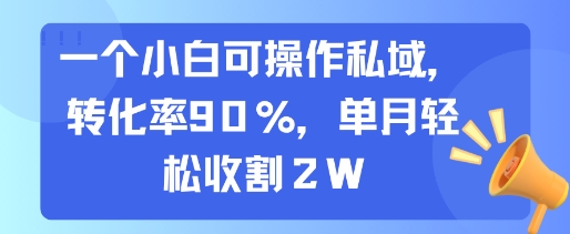 一个小白可操作私域，转化率90%，单月轻松收割2W-超级会员网