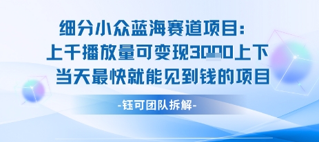 小众蓝海赛道项目：当天变现1k+适合新手操作 +适合长期玩-超级会员网