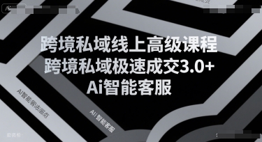 跨境私域线上高级课程，跨境私域极速成交3.0+Ai智能客服-超级会员网
