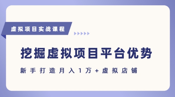 抓住虚拟项目各平台优势，新手轻松月入1W+(给出具体建议)-超级会员网