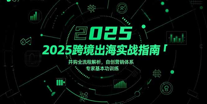 2025跨境出海实战指南，并购全流程解析，自创营销体系，专家基本功训练-超级会员网
