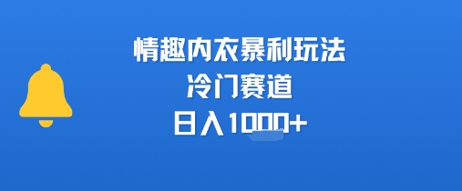 情趣内衣暴利玩法，冷门赛道，日入1k+-超级会员网