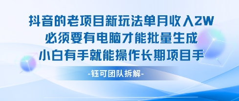 老项目新玩法单月收入2W小白有手就能操作长期项目-超级会员网