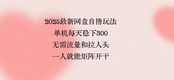 2025最新网盘自撸玩法，单机每天稳下3张，无需流量和拉人头，一个人就可轻松矩阵，全网独一份【揭秘】-超级会员网