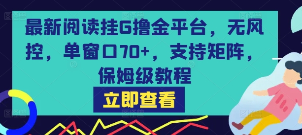 最新阅读挂G撸金平台，无风控，单窗口70+，支持矩阵，保姆级教程【揭秘】-超级会员网