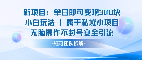 新项目单日即可变现3张的小白玩法无脑操作不封号安全引流-超级会员网