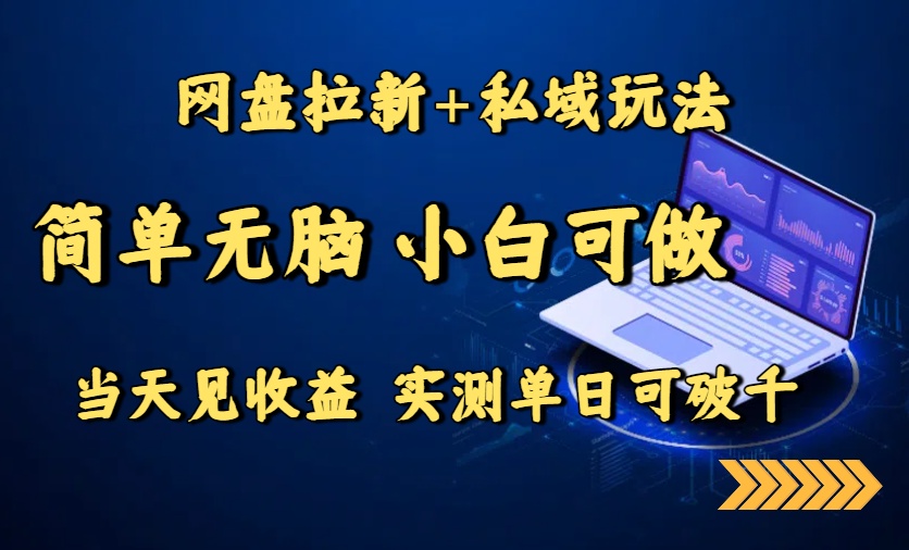 网盘拉新+私域玩法，简单无脑，小白可做，当天见收益，实测单日可破千-超级会员网