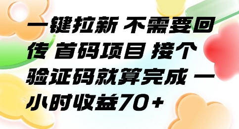 一键拉新 不需要回传 首码项目 接个验证码就算完成 一小时收益70+【揭秘】-超级会员网