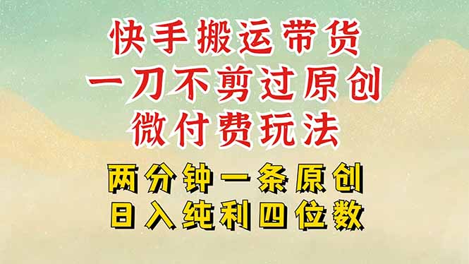 快手黑科技搬运带货，一刀不剪过原创，微付费投流玩法，轻松日入四位数…-超级会员网