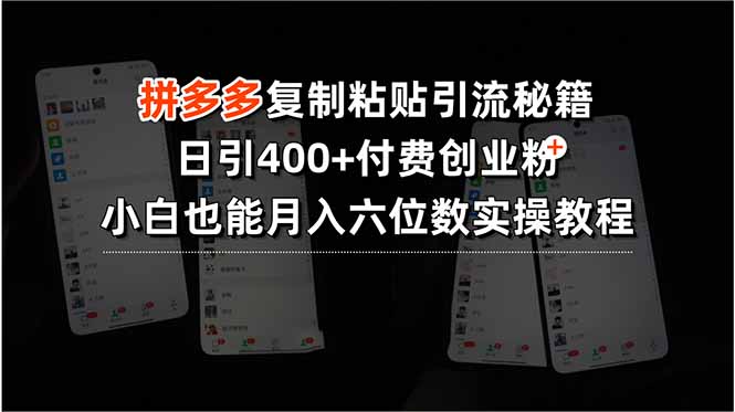 拼多多复制粘贴引流秘籍，日引400+付费创业粉，小白也能月入六位数实操…-超级会员网