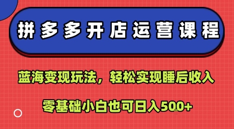 拼多多开店运营课程：蓝海变现玩法，轻松实现睡后收入，零基础小白也可日入5张-超级会员网
