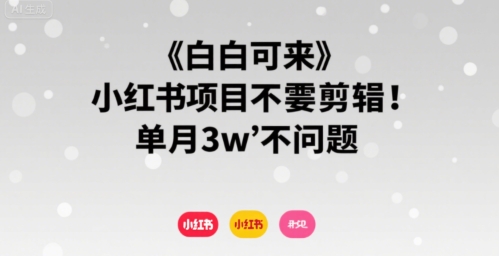 小白可来 小红书项目不需要剪辑 单月3w不是问题-超级会员网