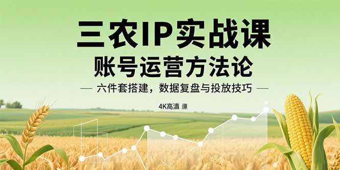 三农IP实战课：账号运营方法论，六件套搭建，数据复盘与投放技巧-超级会员网