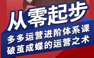 拼多多运营进阶系统课，从零起步，多多运营进阶体系课，破茧成蝶的运营之术-超级会员网