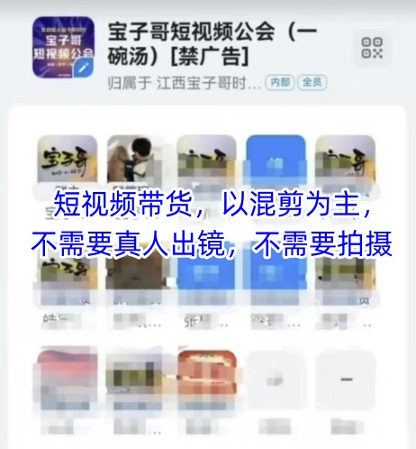 宝子哥头部团队短视频带货，以混剪为主，不需要真人出镜，不需要拍摄【更新8月】-超级会员网
