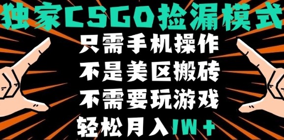 CSGO自动捡漏项目，最新独家玩法，不是美区搬砖，不需要了解和玩游戏，新手小白轻松月入1W+【揭秘】-超级会员网