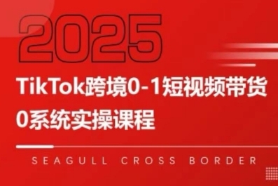 TikTok跨境0-1短视频带货，系统拆解TikTok跨境带货全链路，实现跨境可持续盈利-超级会员网