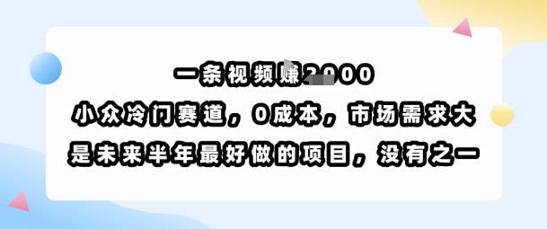 一条视频挣1k，小众冷门赛道，0成本，市场需求大，是未来半年最好做的项目，没有之一-超级会员网