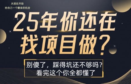 25年，你还在疯狂的找项目吗？别傻了，看完这个你都懂了【揭秘】-超级会员网