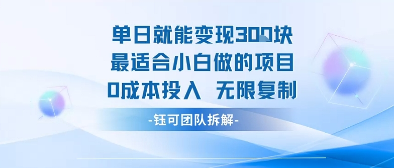 单日就能变现3张最适合小白做的项目0成本投入 无限复制-超级会员网