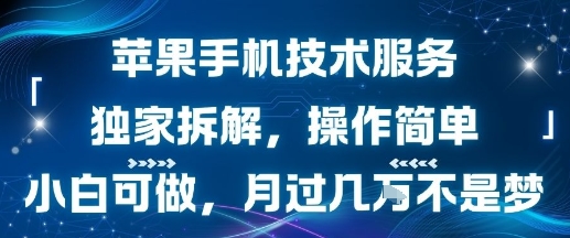苹果手机技术服务，独家拆解，操作简单，小白可做，月过1W不是梦-超级会员网