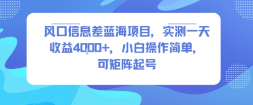 风口信息差蓝海项目，实测一天收益4k+，小白操作简单，可矩阵起号-超级会员网