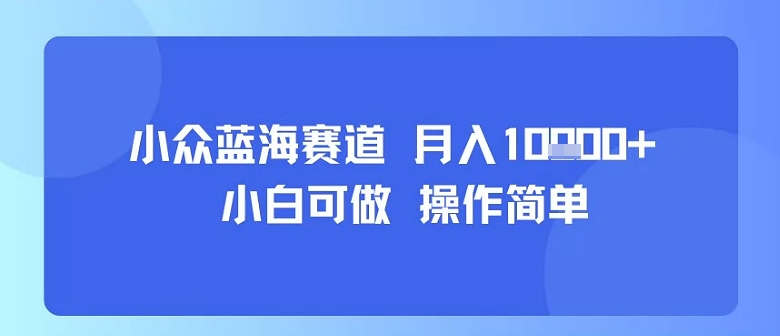 小众蓝海赛道，小白可做，操作简单，每天30分钟，月入1W+-超级会员网
