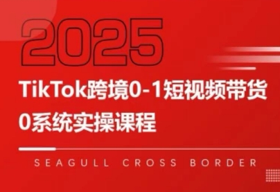 大亿老师·TikTok跨境0-1短视频带货-超级会员网