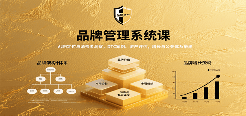 品牌管理系统课：战略定位与消费者洞察，DTC案例、资产评估，增长与公关体系搭建-超级会员网