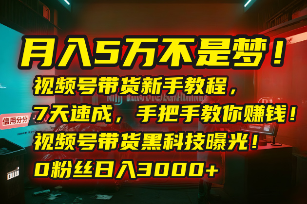 月入5万不是梦！视频号带货新手教程，7天速成，手把手教你赚钱！视频号…-超级会员网