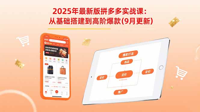 2025年最新版拼多多实战课：从基础搭建到高阶爆款(9月更新-超级会员网