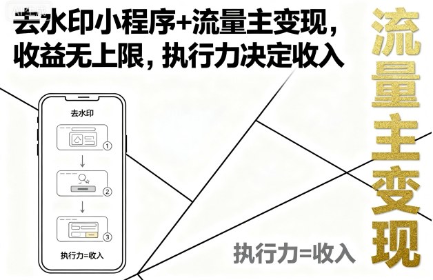 去水印小程序+流量主变现，收益无上限，执行力决定收入-超级会员网