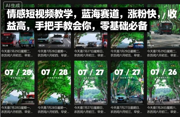 情感短视频教学，蓝海赛道，涨粉快，收益高，手把手教会你，零基础必备-超级会员网